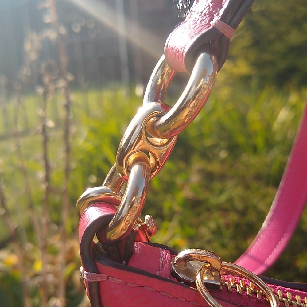 Coach Pink Skylar Hobo Bag With Unbranded Fashion Zipper Pull - Picture 4 of 16